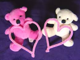 cute pink teddy bear couple