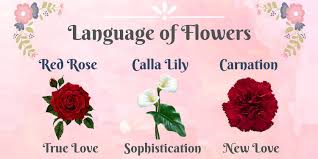 Being single doesn't mean you have to skip out on the holiday fun. 12 Valentine S Day Flower Meanings Explained To Woo Your Boo Nestia