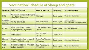Vaccination Vaccination Schedule Vaccination Types