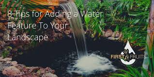 8 Tips For Adding A Water Feature To