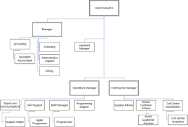 Organizational Chart Or Network Diagram Of The Organization