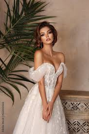 beautiful bride in wedding luxury dress