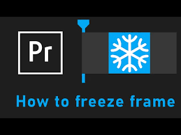how to freeze frame in premiere pro