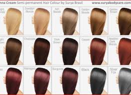 Ion Brown Hair Color Chart Sbiroregon Org