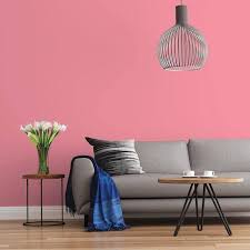 Pink Punch Matte Interior Paint