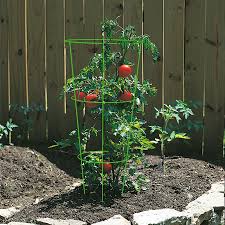 tomato cages at lowes com