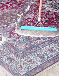 clean a persian rug
