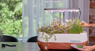 indoor herb garden with artificial
