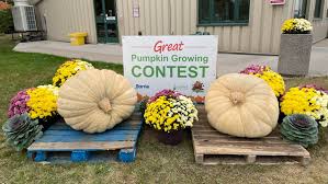 Barrie Pumpkin Wins Compost Council Of