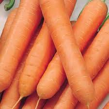 They have excellent flavour, and are very tender. Carrot Nantes Touchon Mckenzie Seeds Wildwood Outdoor Living