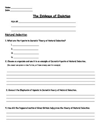 7) they are a great way to explain natural selection in evolution because of the way they. Evolution Natural Selection Worksheet By Engaging Einsteins Tpt