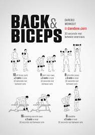 back biceps workout