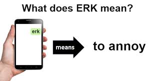 erk what does erk mean
