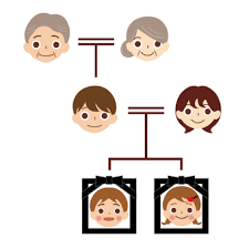 free vectors inheritance family tree