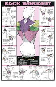 Workout Posters John Saddington Gym Workout Chart Gym