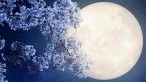 may s full flower moon you