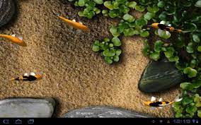 49 koi live wallpaper for windows