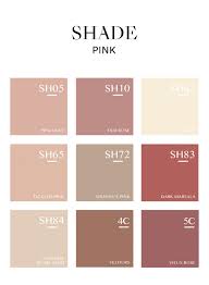 Shade Pink Superior Wall Paint