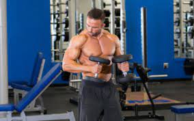 muscle building split workout muscle