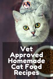 vet approved homemade cat food recipes