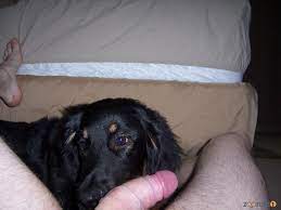 The sexiest black dog gives me a very good blowjob