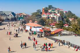 shimla tour packages from chennai