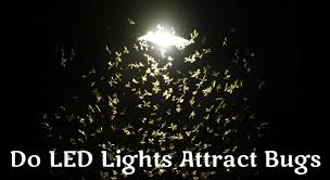 Do Led Lights Attract Bugs