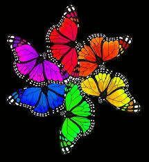 Rainbow butterflies | Rainbow butterflies, Beautiful butterflies, Rainbow