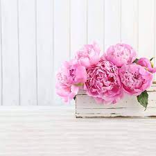 Order flower melbourne delivery online using your afterpay account and pay at a time that's more convenient for you. Flower Delivery Melbourne Cheap Flower Delivery Melbourne The Big Bunch