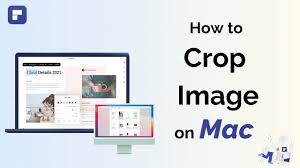 how to crop images in pdf on mac