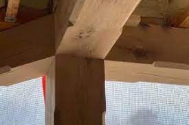 purchase new white oak 20 beams timber