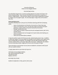 Resume templates for experienced marketing professionals   Order     art resume examples