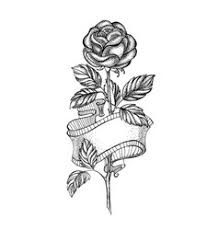 See more ideas about roses drawing, flower drawing, drawings. Roses Pencil Sketch Vector Images Over 780