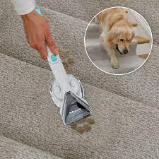 shark carpetxpert stainstriker deep carpet cleaner ex201