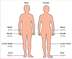 Human body parts learning the english words for human body parts pictures videos and exercises to help you learn the body parts vocabulary. Top Body Parts Affected By Non Fatal Injuries Human Silhouettes Download Scientific Diagram