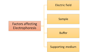 factors affecting electropsis