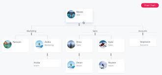 Simple Org Chart Wordpress Plugin Wordpress Org