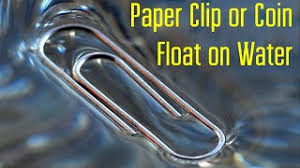 coin float on water cool bar trick