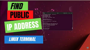 public ip from terminal on linux ubuntu