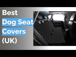 10 Best Dog Seat Covers