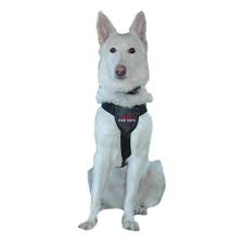 Clix Car Safe Dog Harness Large Ocado