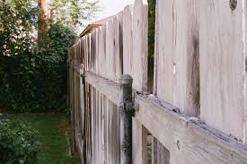 However, it is also great because it is easy enough to create. Hiding An Ugly Backyard Fence Crewcut Lawn Garden