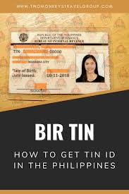 How to get tin id. How To Get A Bir Tin And Tin Id In The Philippines Zamboanga City Surigao City Baguio City