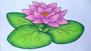 Kedamaian dari bunga air teratai yang dikenal juga sebagai bunga air memang menawarkan banyak keindahan. Cara Menggambar Bunga Teratai Menggambar Bunga Yang Mudah Dan Simpel Youtube