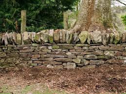 Dry Stone Wallers In Perthshire