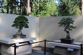pacific bonsai museum bonsai empire
