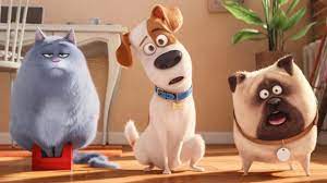 Learn how to take care of pets, read about common pet behavior. Pets 3 Wird Es Eine Fortsetzung Geben Kino De