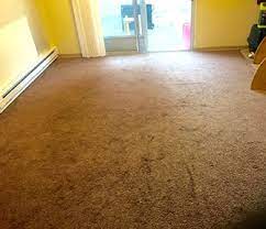 auburn carpet cleaning power pup clean