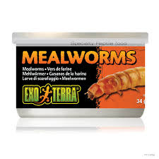 mealworms 1 2 oz 34g