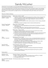 Resume Examples By Real People Retail Experience Analyst At
